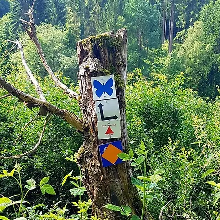 Jansen Drei Apartment