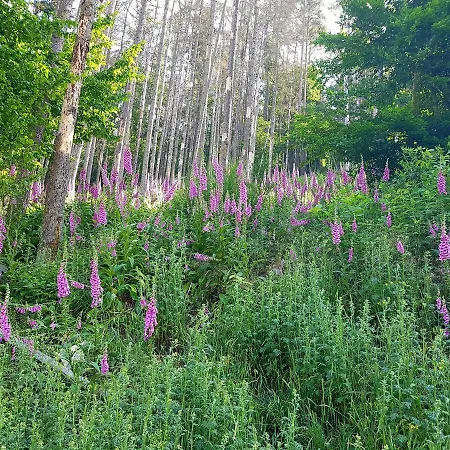 Jansen Drei Bad Schwalbach