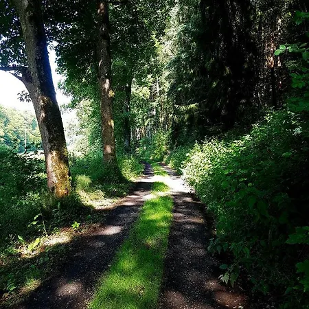 Jansen Drei Apartment